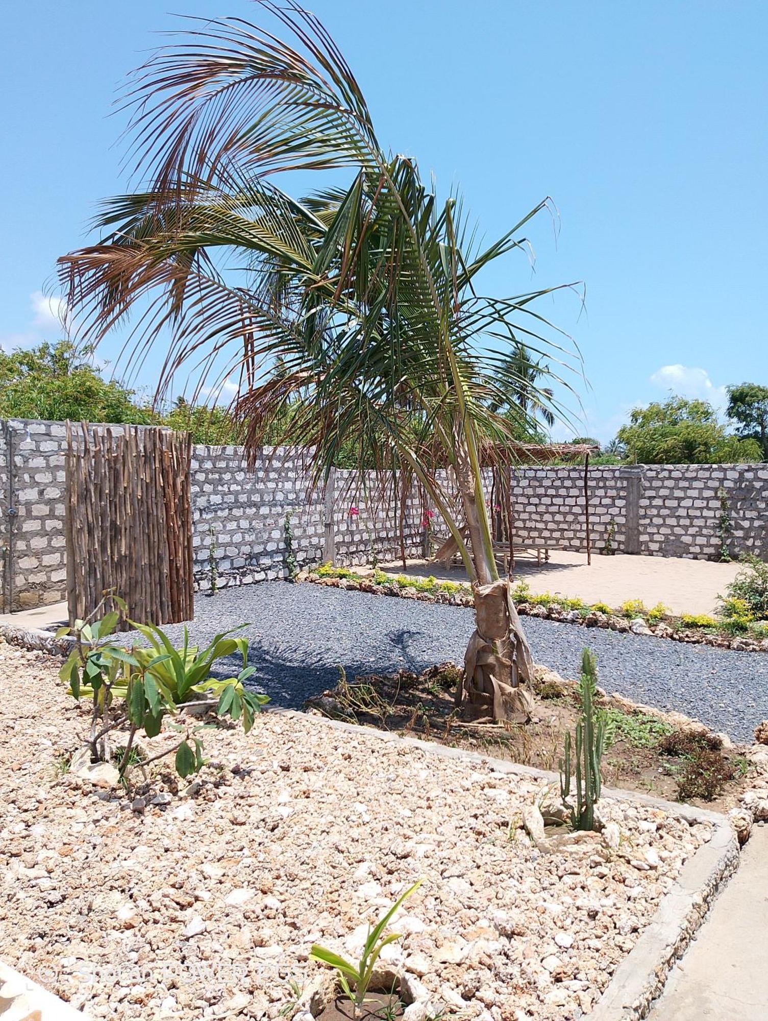 Bed and Breakfast Red Land House Watamu Esterno foto